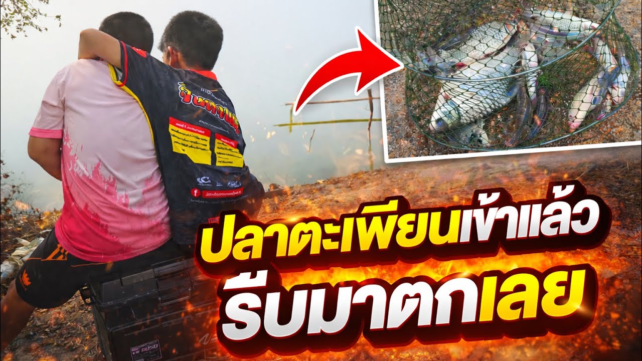 ปลาตะเพียนเข้า ใครได้ปลาช้าสุด วิ่งรอบบ่อกุ้ง | เด็กตกปลา