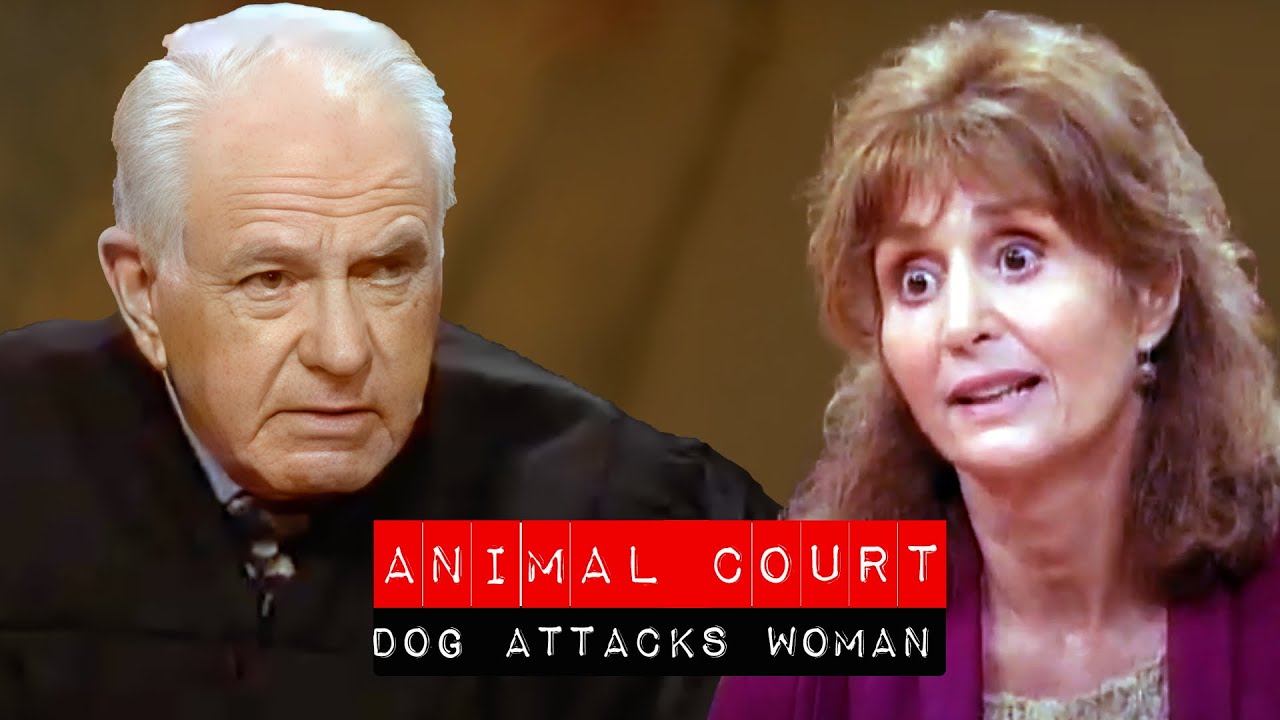 Animal Court: This Dog Attacked this Woman!