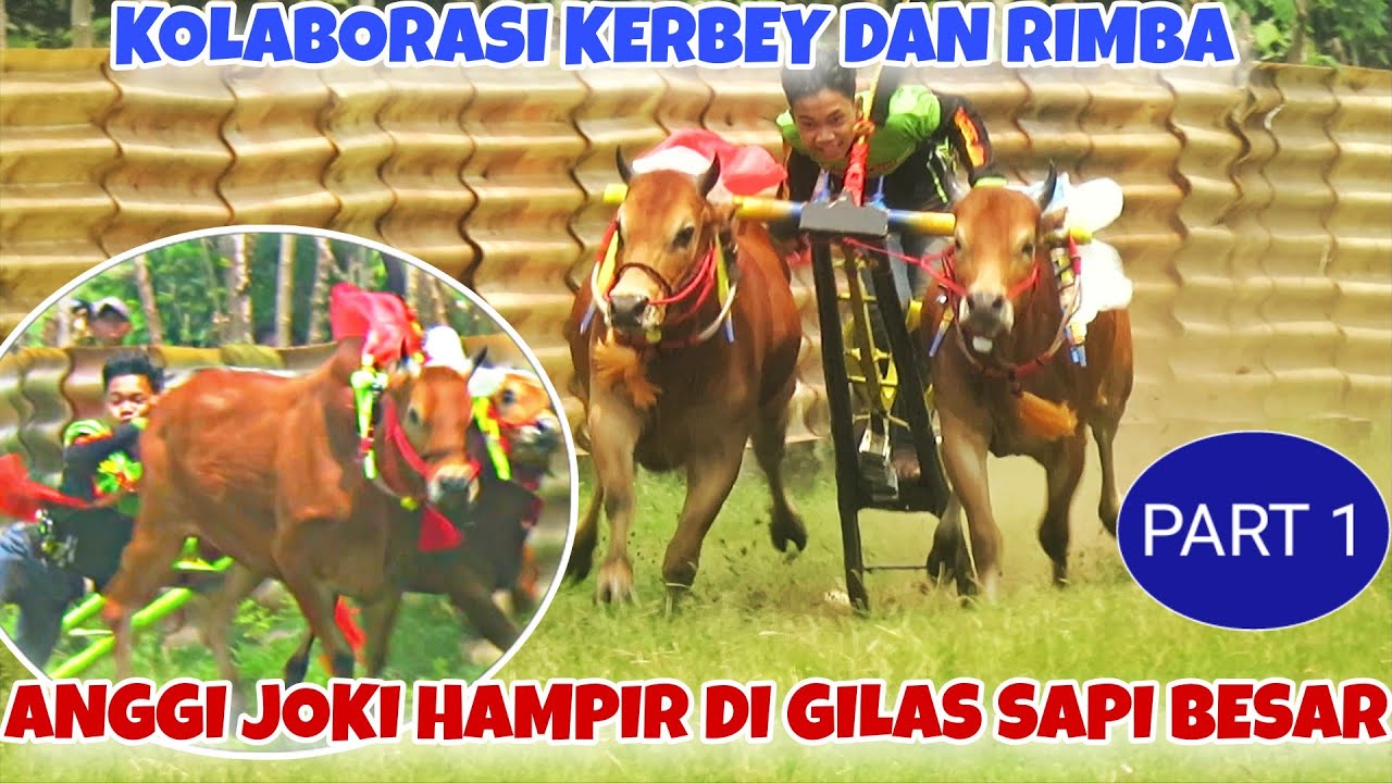 FULL TREN TEMPORAN PERSIAPAN EVENT GAGAK RIMANG || KOLABORASI PUTRA KERBEY DAN RIMBA JAYA 🔥🔥