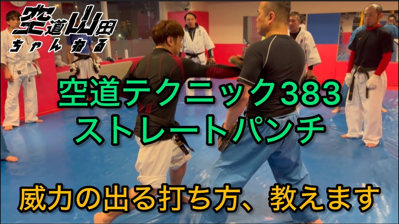 【武道】空道テクニック383「ストレートパンチ」【格闘技】