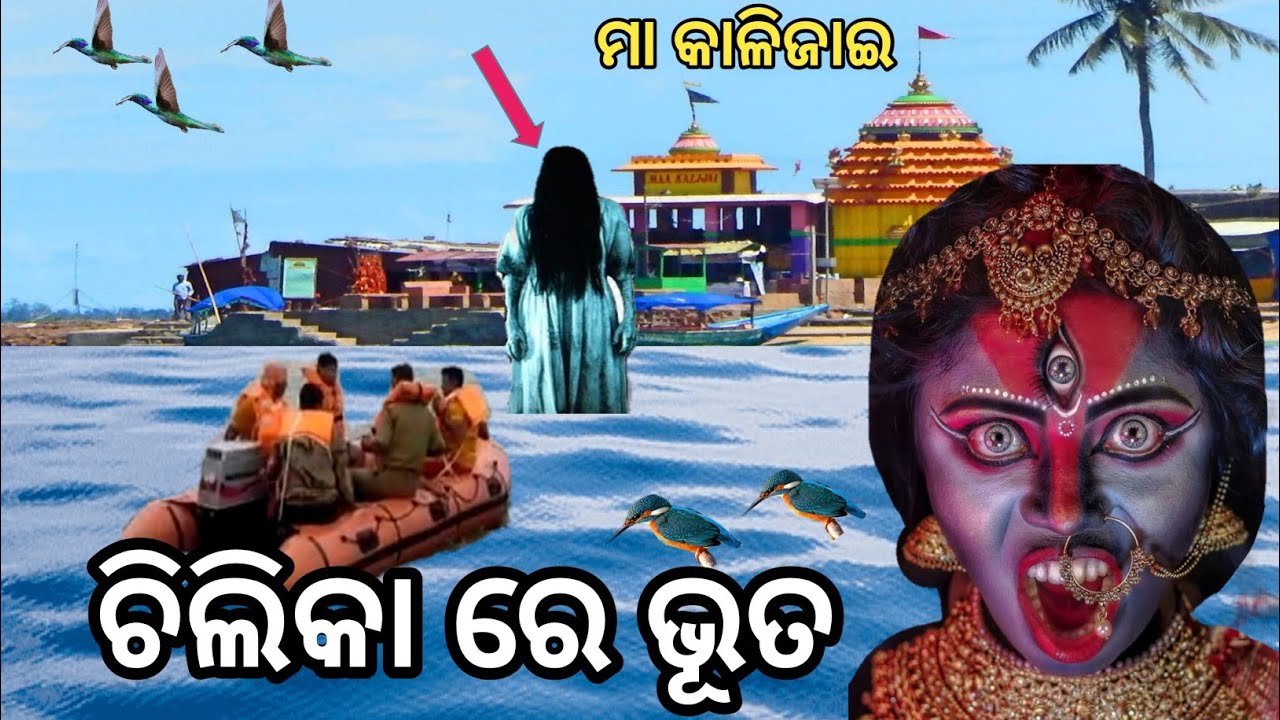 Real Story Of Maa Kalijai Temple In Chilika Lake | Malika | Chilika Lake | @OTV |
