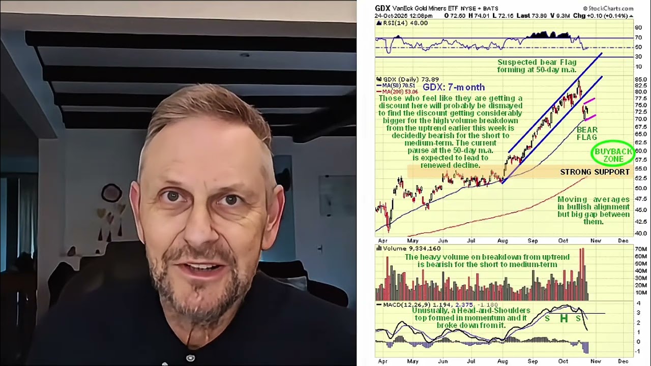 Precious Metals Sector Correction Target