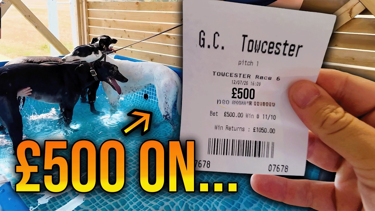 500 ФУНТОВ НА ФИНАЛ | Крупные ставки с синдикатом на ипподроме Towcester