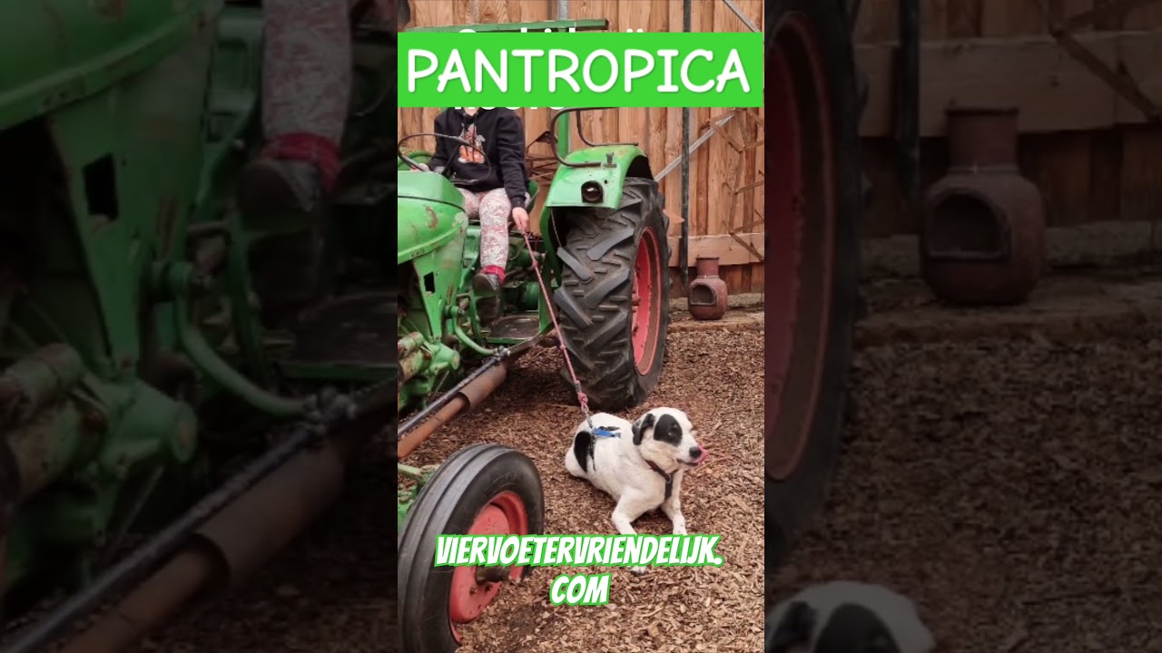 Pantropica is een prachtige belevenis voor jong en oud. Echt een top #dagjeweghondmee.