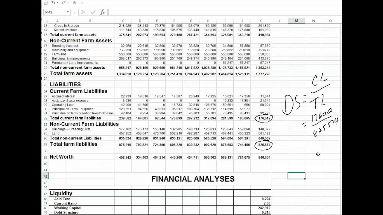 Debt Structure