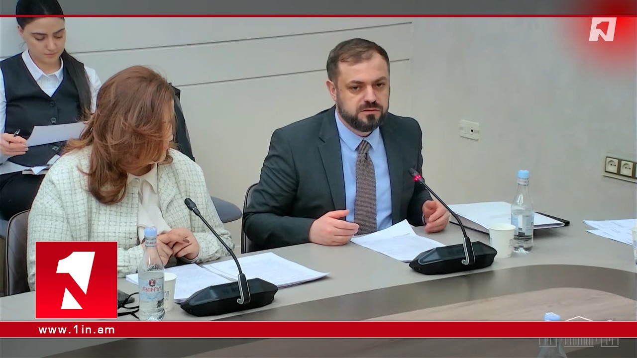 Սպառողները պաշտպանված կլինեն մոլորեցնող գովազդից․ Պապոյանը ներկայացրեց նոր նախագիծ