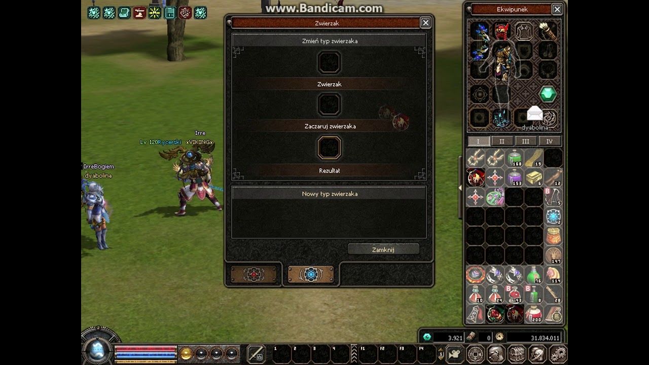 METIN2PL  MIESZANIE HP PETA MELEY 105LVL 1000DNI  Arixan  #Irre