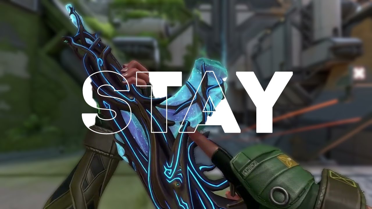 STAY