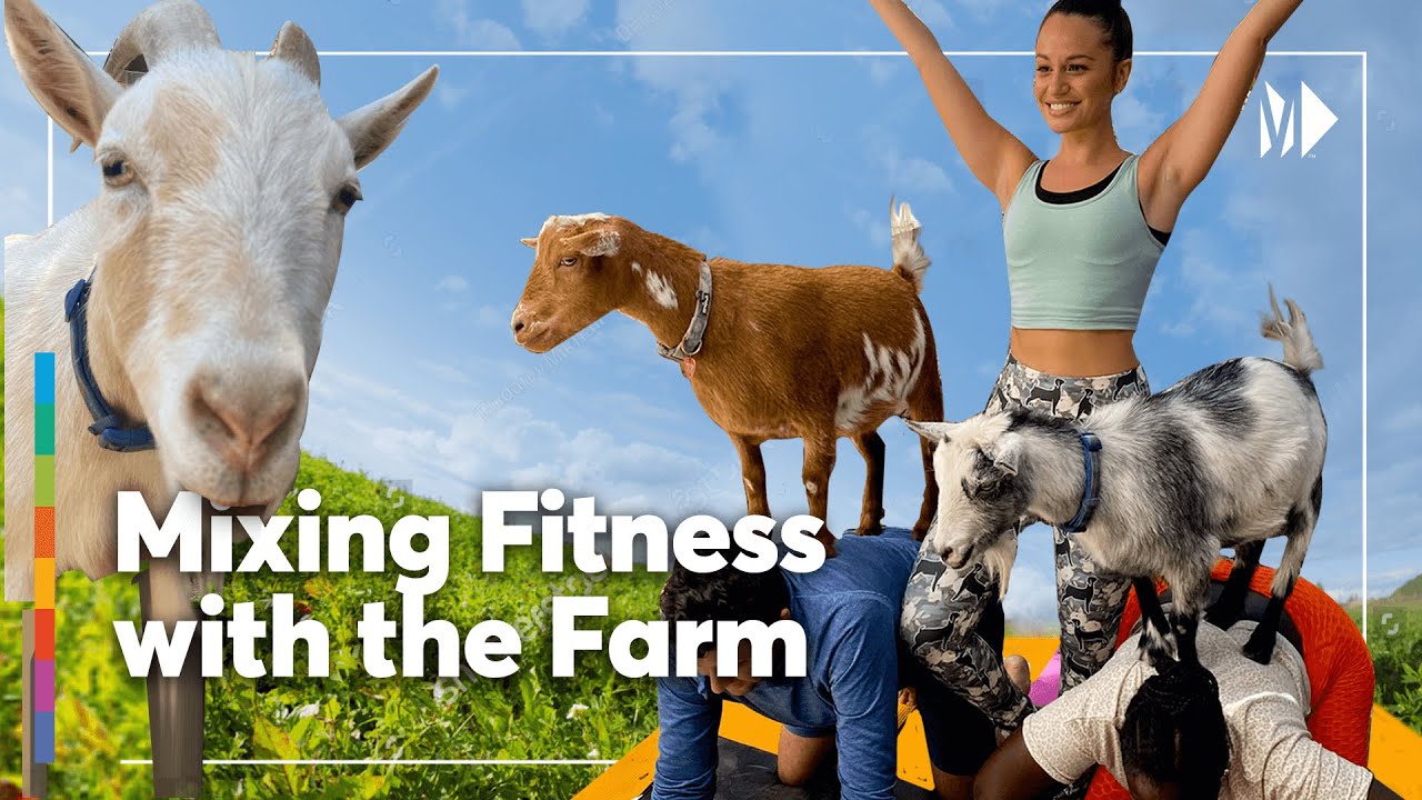 Can Goats Relieve Stress? This Goat Yoga Entrepreneur Believes So