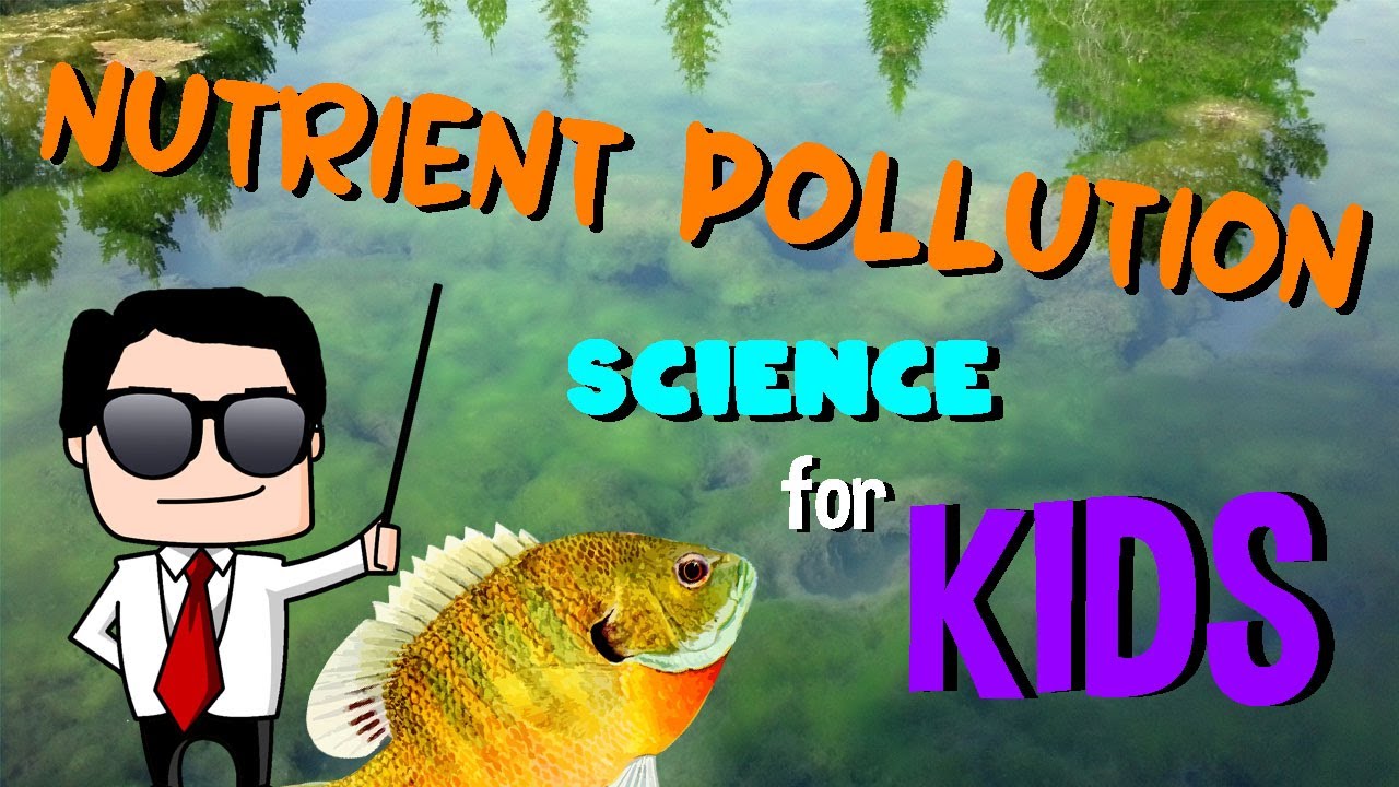 Nutrient Pollution | Science for Kids