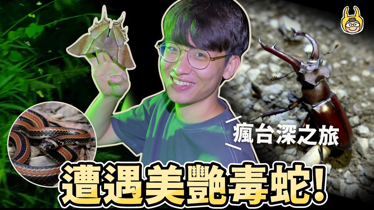 環島點燈！運氣爆棚刺激一整晚，瘋台深的旅程啟航！【叢林大冒險】