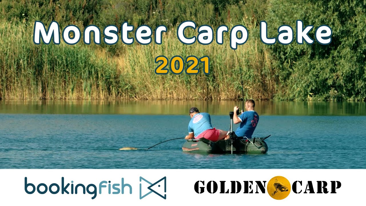 Monster Carp Lake -  Fishing Holidays