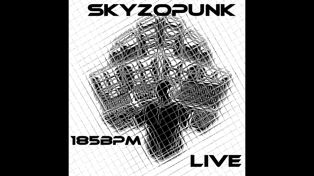 SKYZOPUNK live sur 4 korg esx emx et electribe 2 rouge et bleu