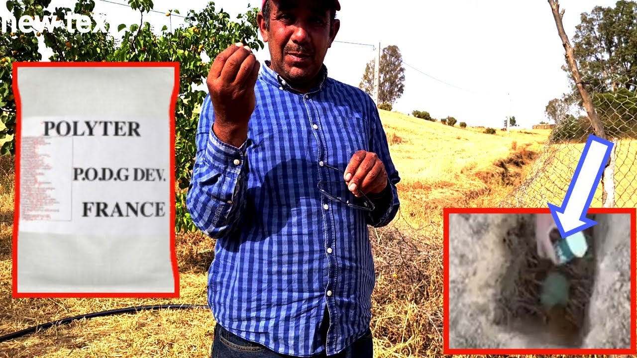 البوليتير (polyter) وداعا لموت وجفاف الاشجار مع هدا المنتوج الخطير