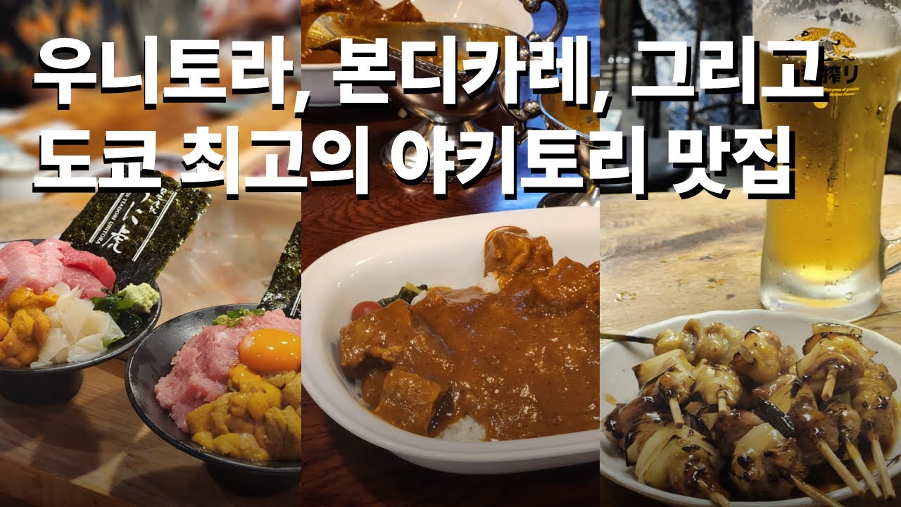 [4K] 🗼도쿄여행 3박 4일 브이로그 (4) | 우니토라, 🍛본디카레, 🍖야키토리, 가부기초