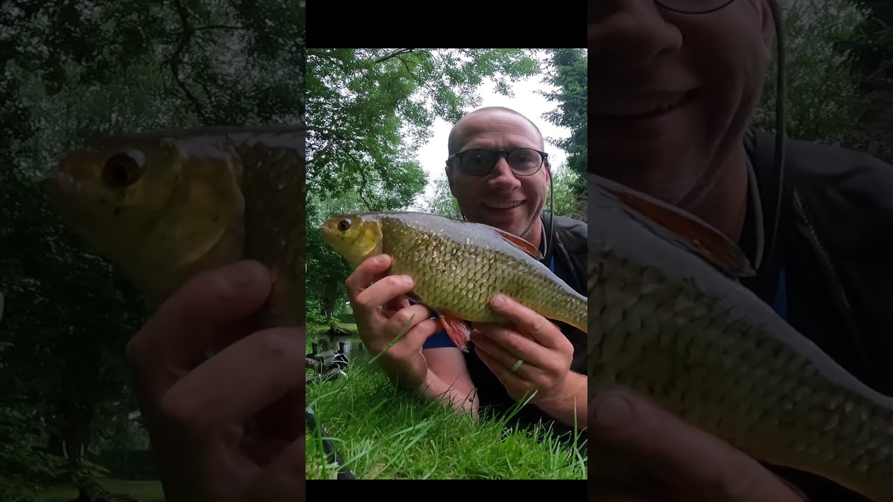 1st ever 2lb Roach!!!!!!!!!! #fishing #roachfishing #BigriverRoach