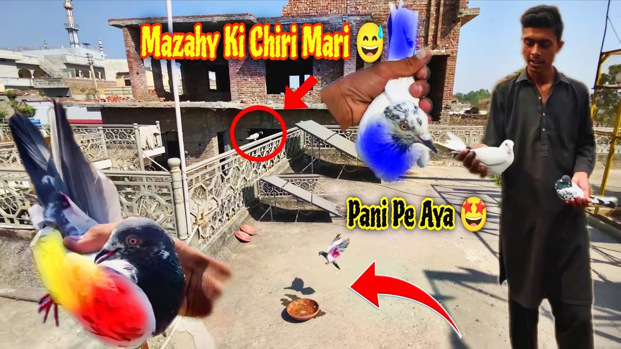 Pani 🕊️Se Pehli ChiRi Mari 😅