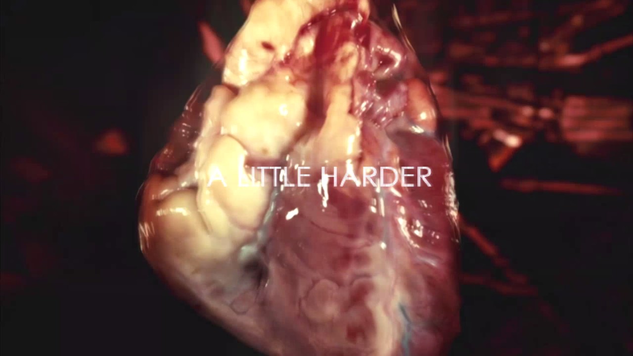 ＨＡＮＮＩＢＡＬ // {roots} preview
