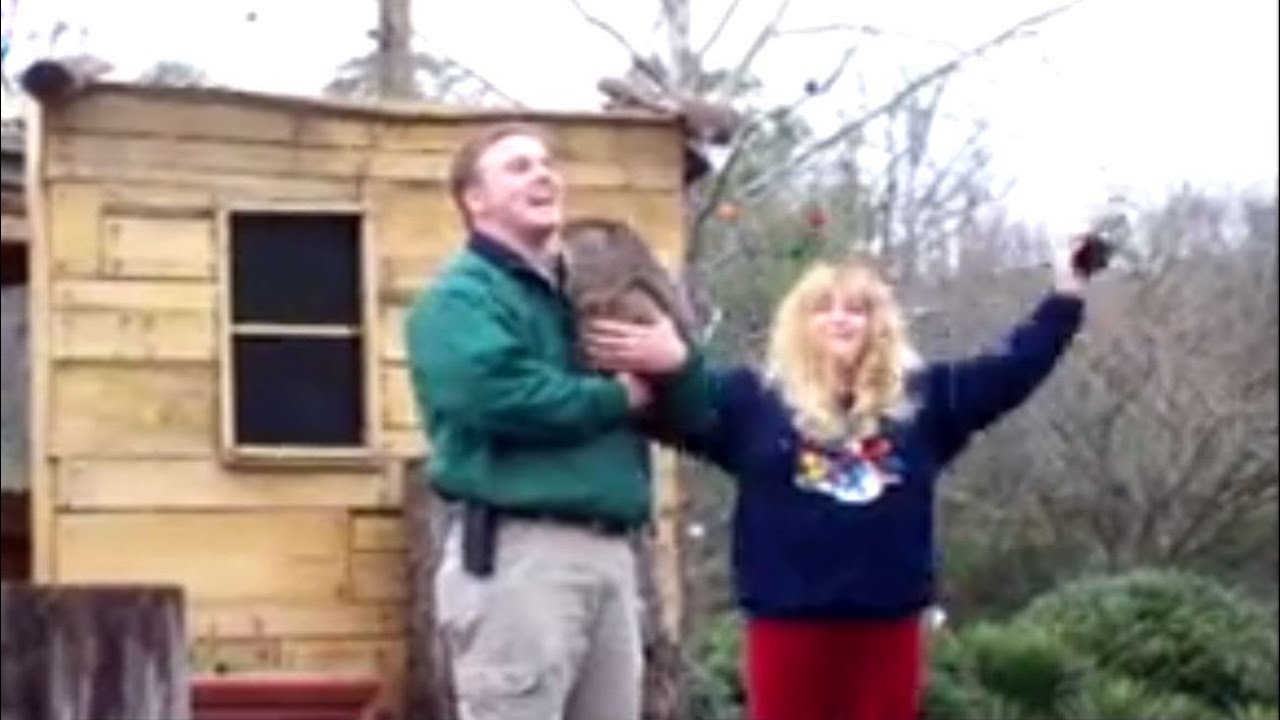 Groundhog Day at Birmingham Zoo
