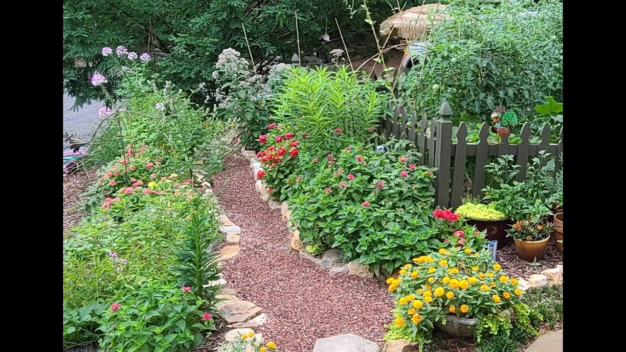 Flowering Perennials for Georgia