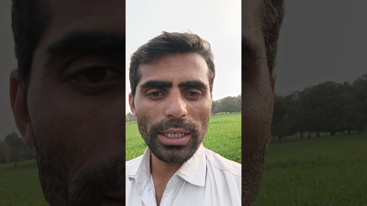 Village life and their invirement 