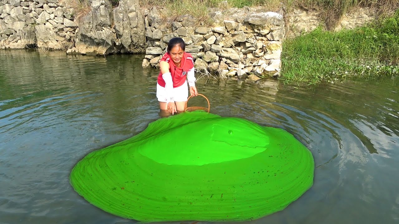 After decades in the water, my whole body turned green, and my stomach also turned green···