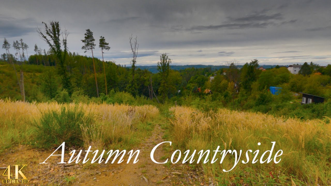 Autumn Europe Walk | 4K | ASMR | Virtual Walking Tour