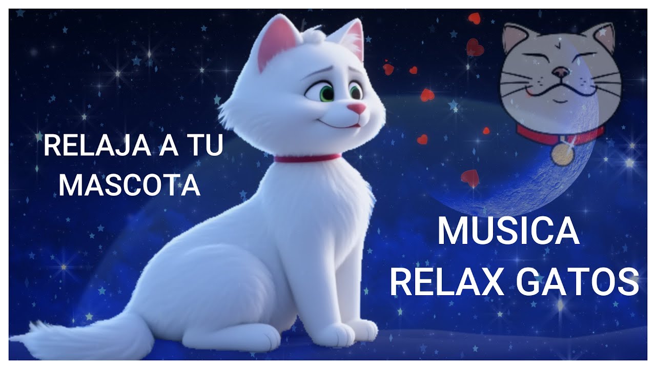 Música Relajante para Gatos 🐾🐾 – Calma la Ansiedad y el Estrés de tu Mascota 💤💤