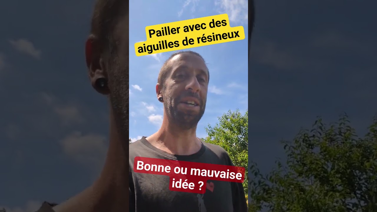 Pailler le sol de son potager avec des aiguilles de r&eacute;sineux... bonne ou mauvaise id&eacute;e ?