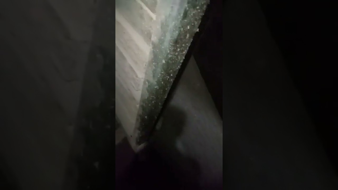 كارثه الاسانسيرات من صحاب العماير والشركات اللي تحت السلم