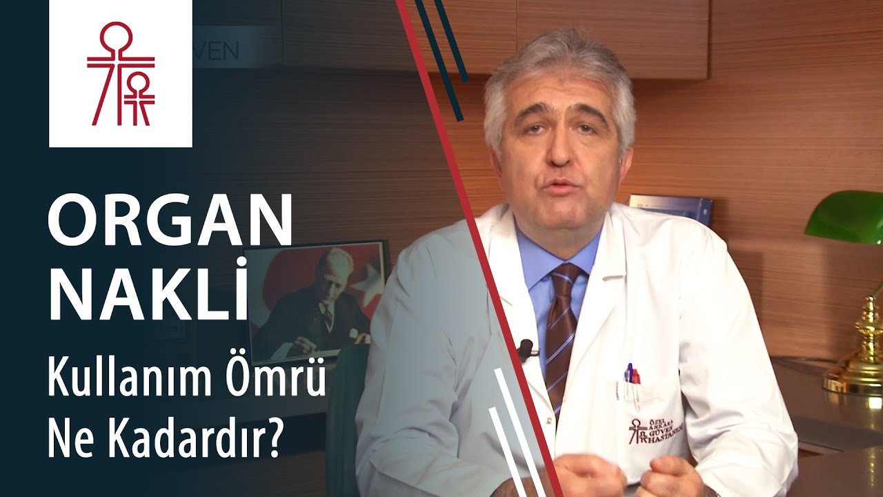Organ Nakli: Takılan karaciğer ya da böbreklerin kullanım ömrü ne kadardır?