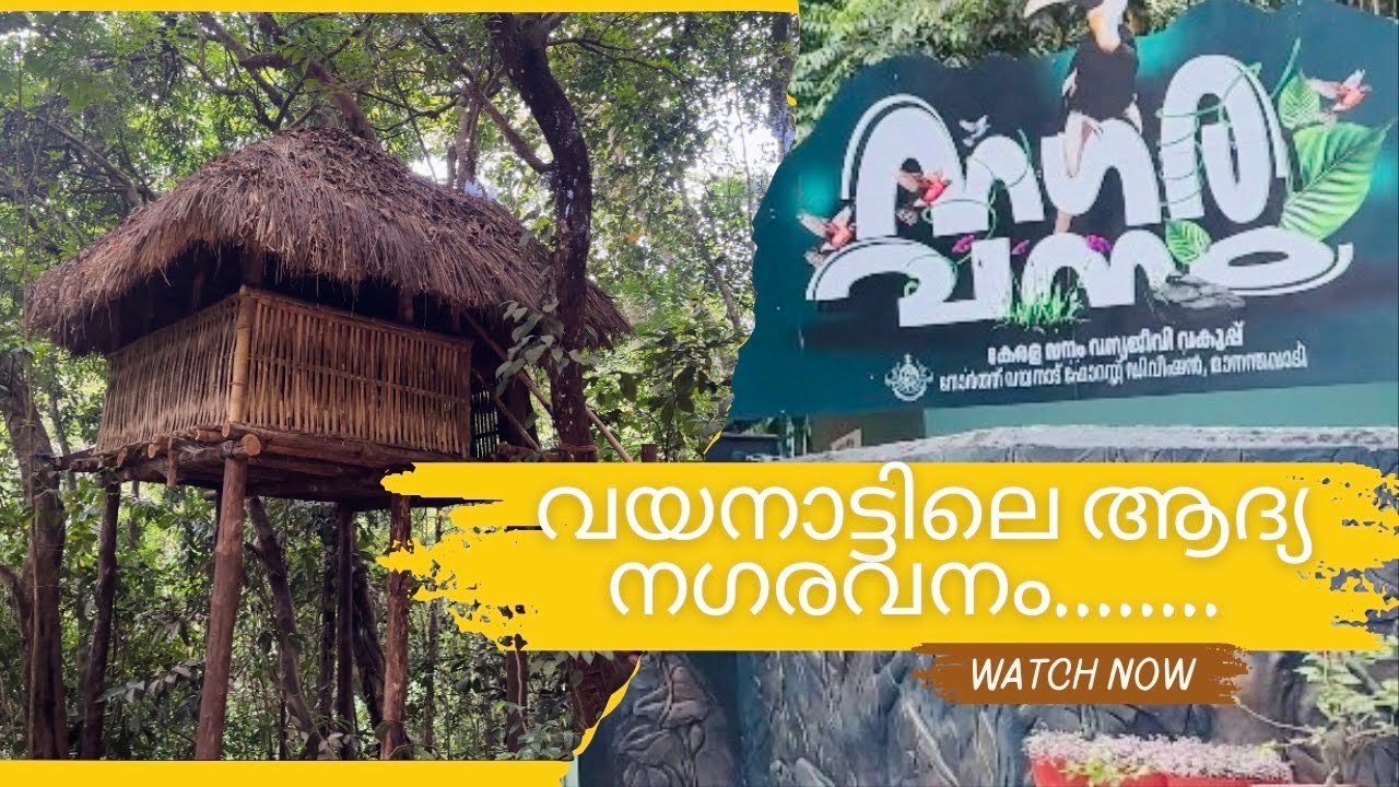 Wayanad's first urban forest | Nagaravanam | Mananthavady | Wayanad #wayanadanglobetrotter