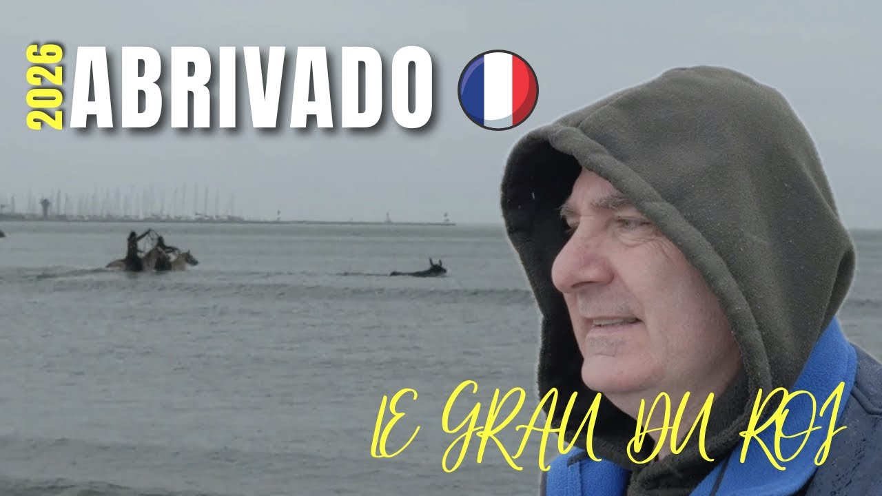 ➡️ Abrivado des plages 🏖️ un taureau s’échappe par la mer 🚨 le 07/03/2026 