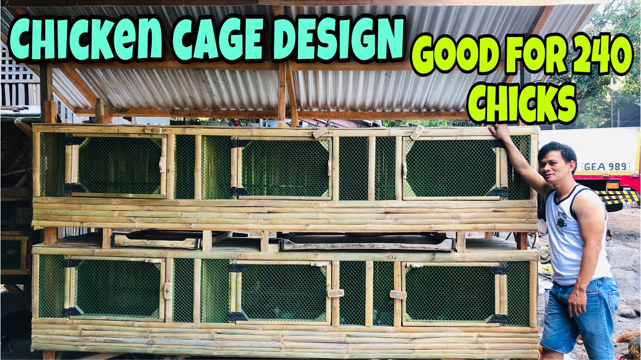 CHICKEN CAGE DESIGN | FREE RANGE CHICKEN | BUHAY PROBINSYA