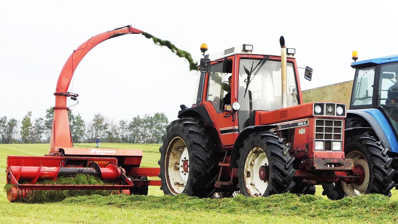 Case IH 1056 XL in the field chopping grass w/ Kverneland TA 622 Forage Harvester | Silage Day