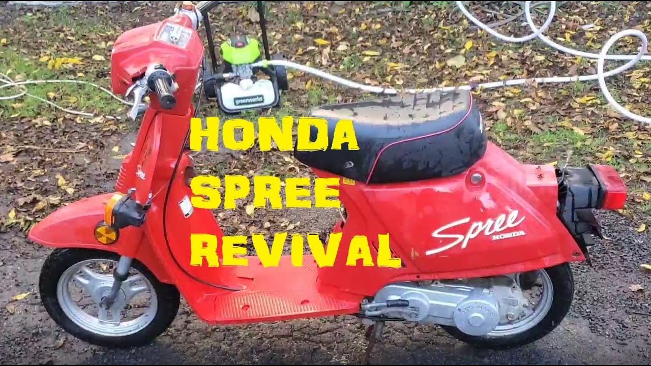 Barn Find Honda Spree NQ50 - Will It Run? 30 Years of sitting! First Start!