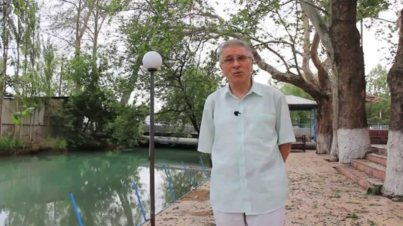 Видеолекторий &laquo;Ферганы.Ру&raquo;: Дорога на Чимган