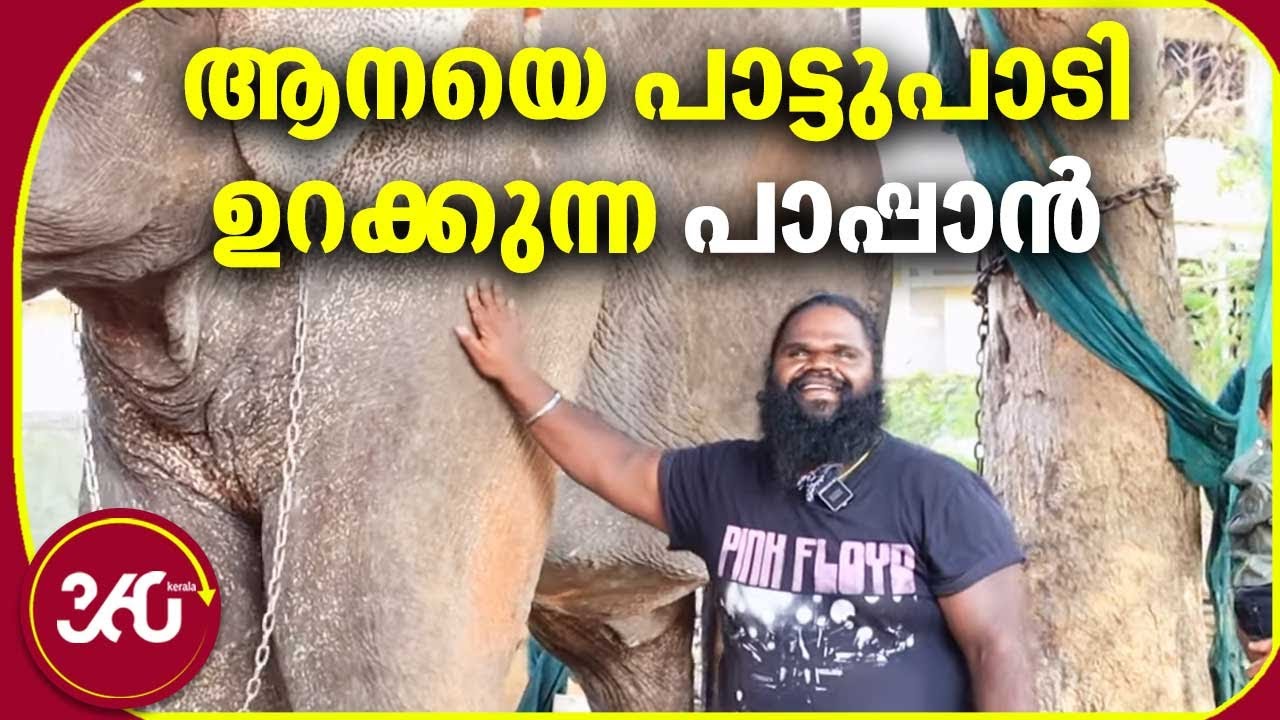 ആനയെ പാട്ടുപാടി ഉറക്കുന്ന പാപ്പാൻ | Bastin Vinayasundar Elephant | Sreekumar