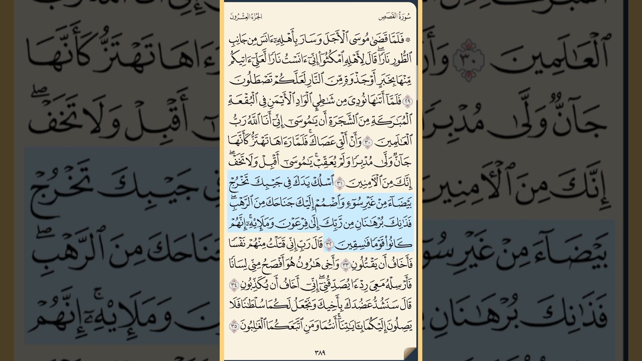 القرآن الكريم سورة القصص من الايه الكريمه 29 إلى الآية الكريمة 43 محمد ايوب
