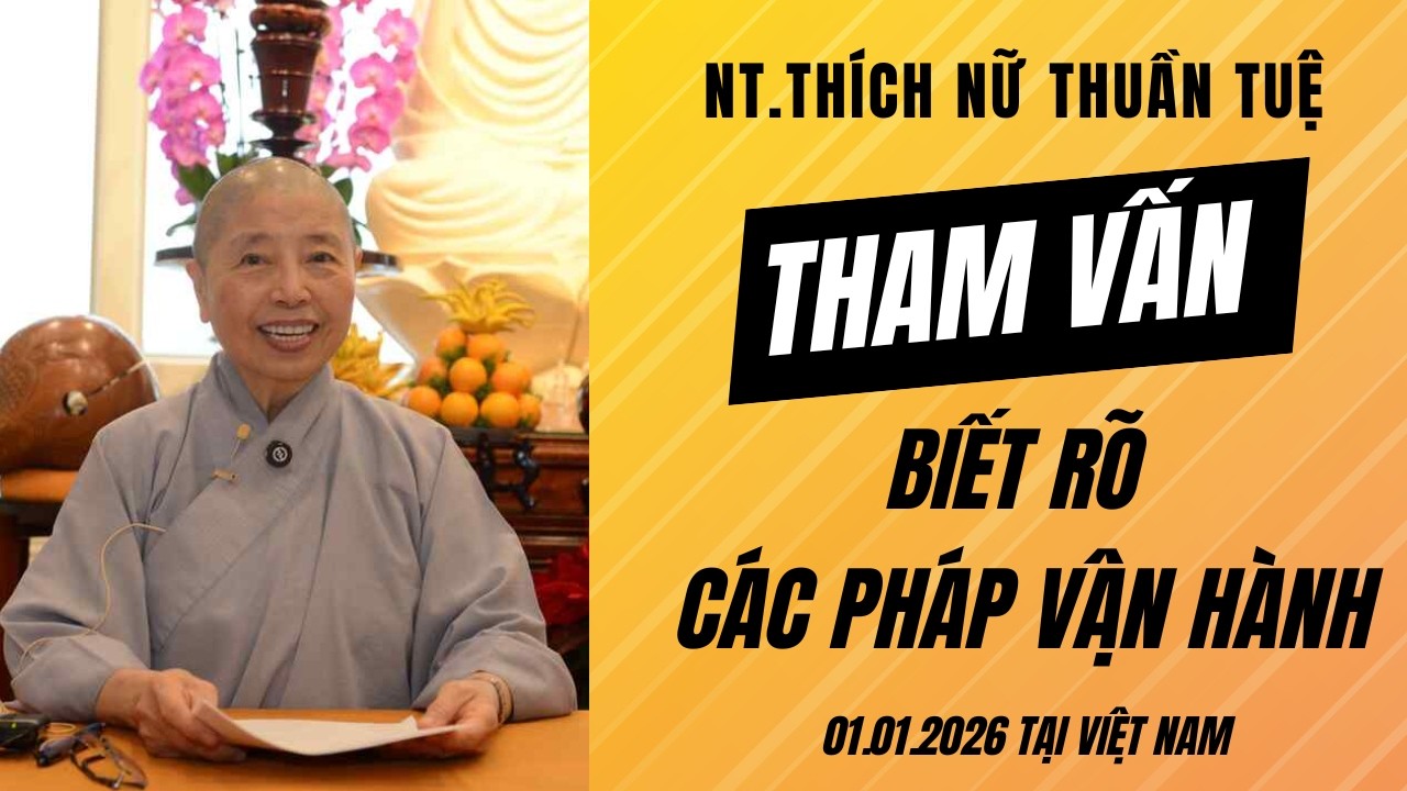 BIẾT RÕ CÁC PHÁP VẬN HÀNH | NT. THUẦN TUỆ | THAM VẤN