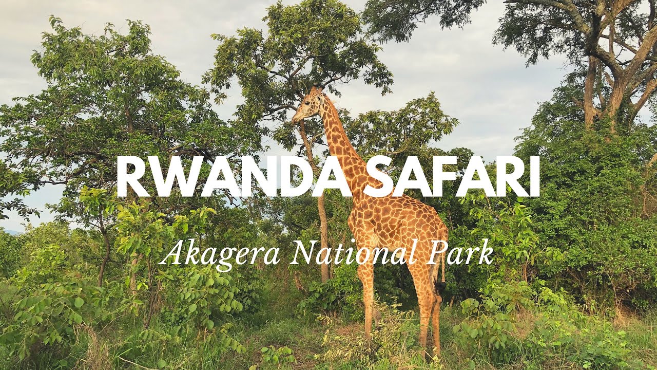 Rwanda Safari Akagera National Park