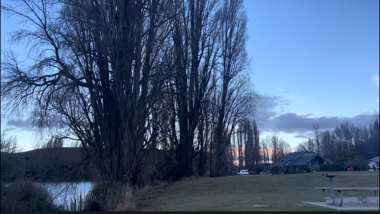 ALBERT TOWN CAMPGROUND | | NEW ZEALAND