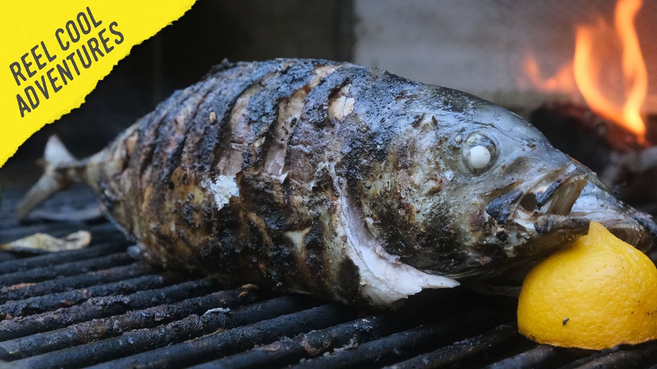 Blackened Bluerunner - grilled fish recipe