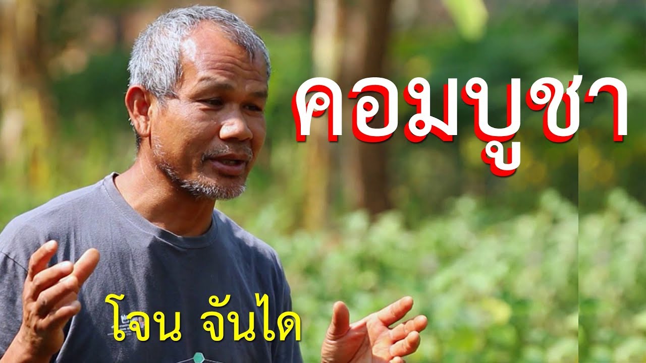 คอมบูชา (วิธีทำ) ? โจน จันได : เด็กสงสัยโลก