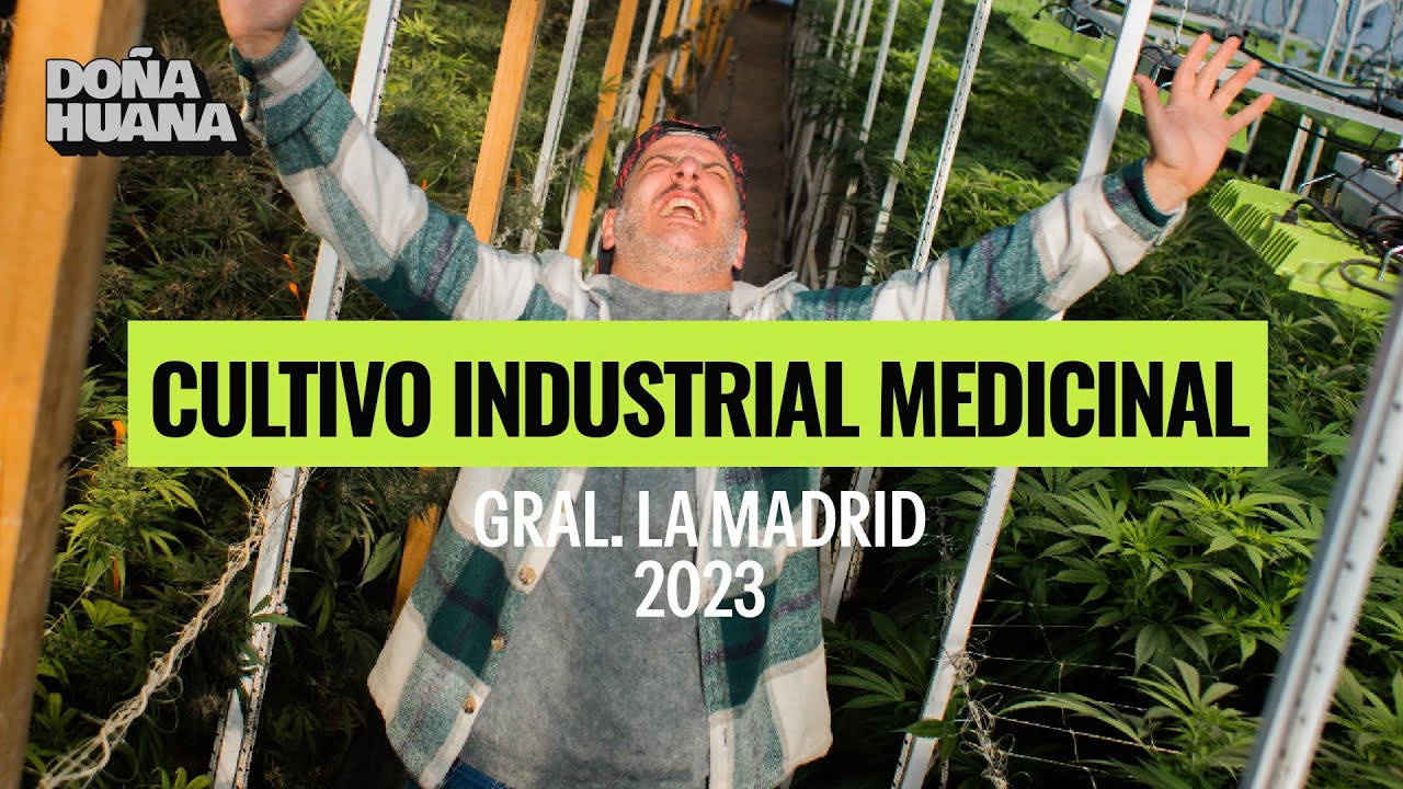 MEGA CULTIVO MEDICINAL INDUSTRIAL - Gral. La Madrid - 200 GROWTECH P1000