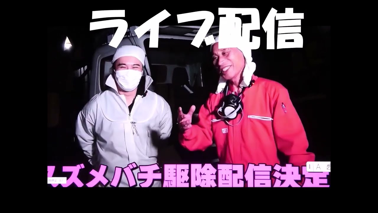 【コラボ】加藤純一vsスズメバチの裏側②