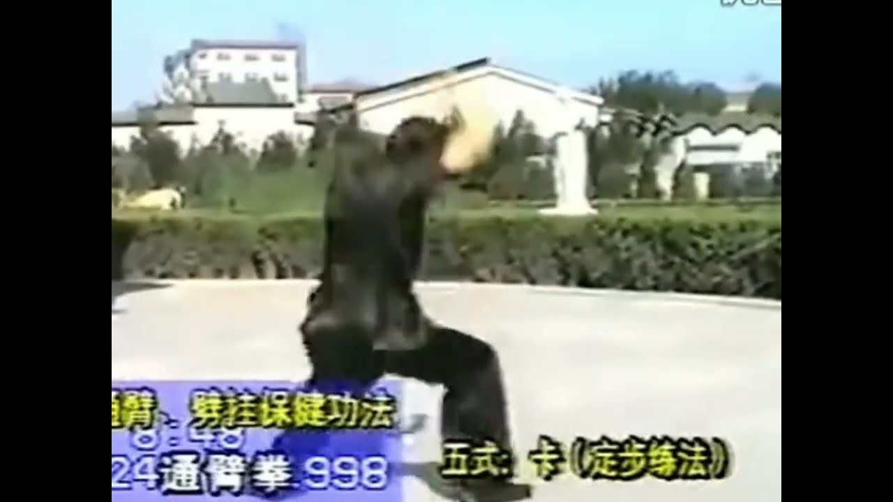 Heyi Tongbiquan (合一通臂拳) “Unified in one Tongbiquan” in 24 movements from Cangzhou
