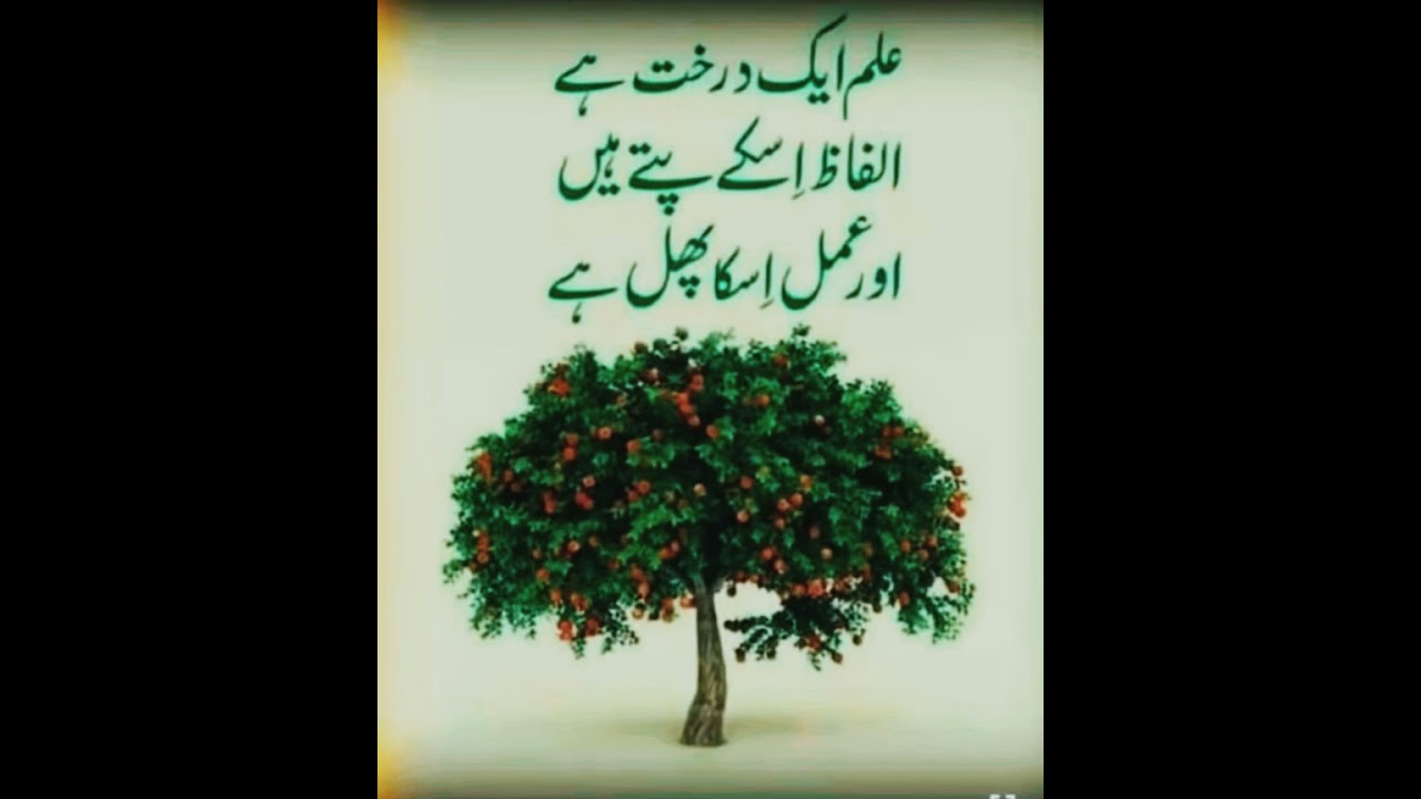 llبلبل چھ نالان ون چھ دوان گلزارس ll 💝KASHMIRI SUFI SONG ll 💝KALAM 💙GHULAM-E-KHALIL💙#newtranding
