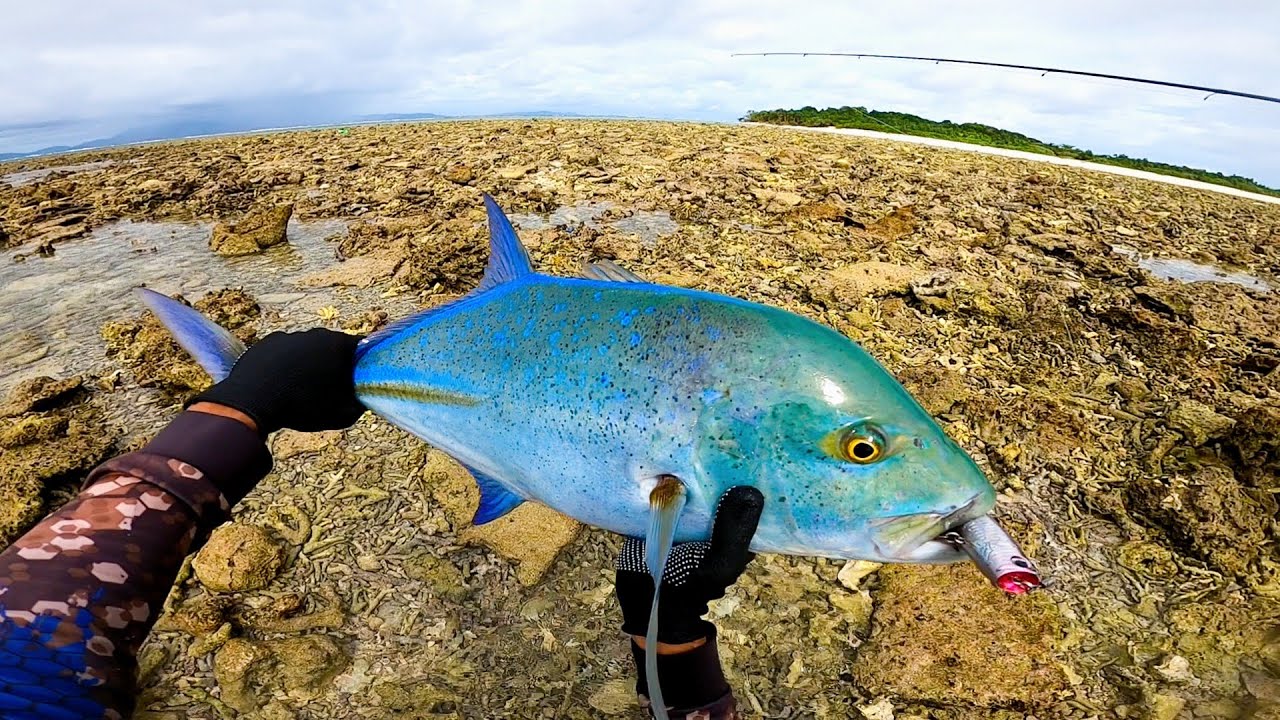 Dayo Fishing sa Balabac❗Hunting Giant BlueFin Trevally