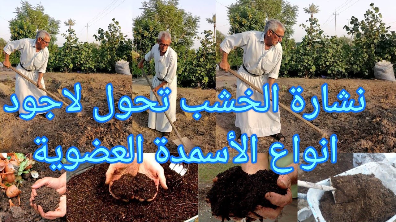 صناعة الكمبوست في المنزل اوالمشتل تحويل نشارة الخشب لسماد عضوي بمشتل سيد عبيس الحطاب العراق 🇮🇶 بابل